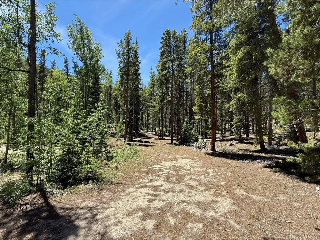 19 Rainbow Road Idaho Springs CO 80452