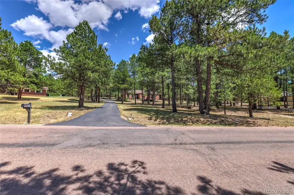 19095 White Fawn Drive Monument CO 80132