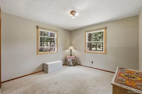 19095 White Fawn Drive Monument CO 80132