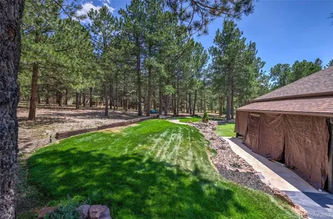 19095 White Fawn Drive Monument CO 80132