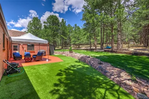 19095 White Fawn Drive Monument CO 80132