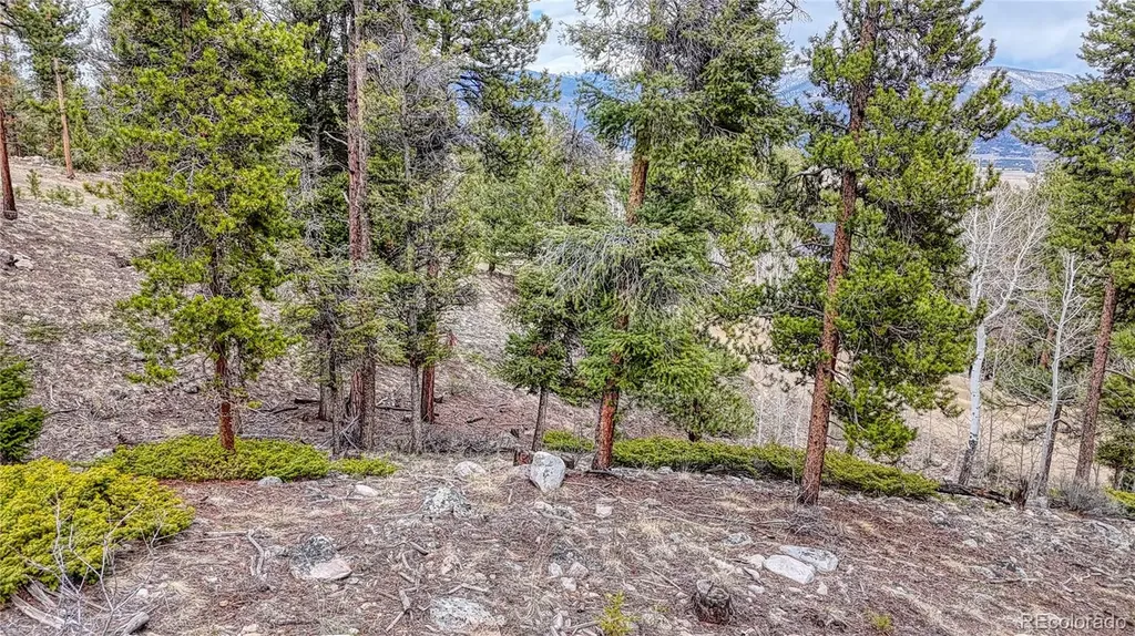 30176 Mountaintop Drive Buena Vista CO 81211