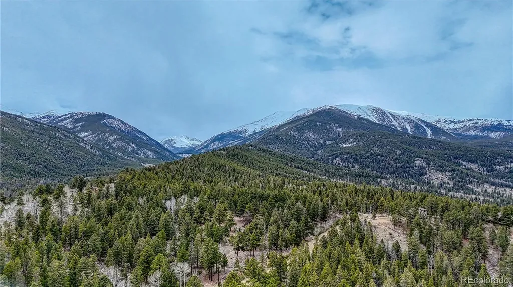30176 Mountaintop Drive Buena Vista CO 81211