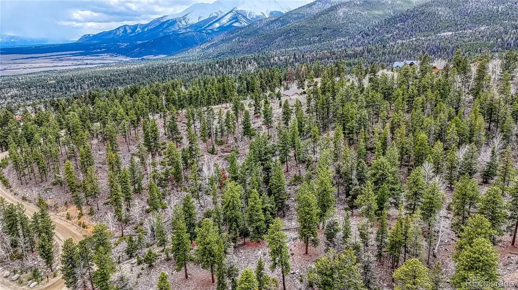 30176 Mountaintop Drive Buena Vista CO 81211