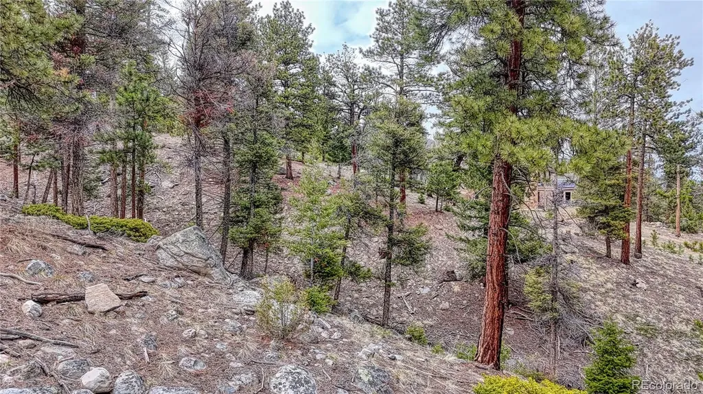 30176 Mountaintop Drive Buena Vista CO 81211