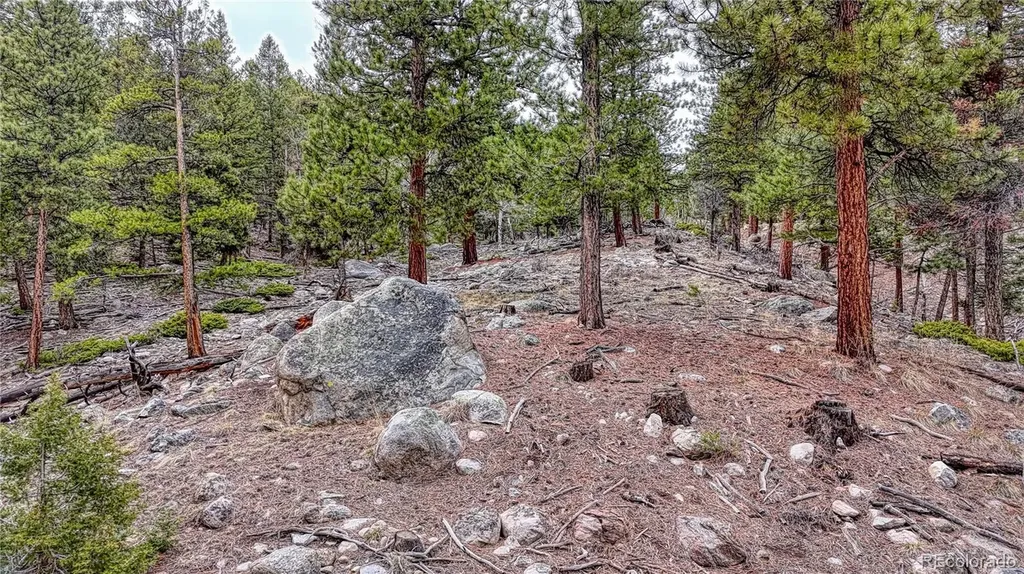 30176 Mountaintop Drive Buena Vista CO 81211