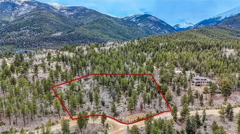 30176 Mountaintop Drive Buena Vista CO 81211