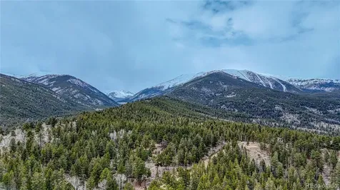 30176 Mountaintop Drive Buena Vista CO 81211