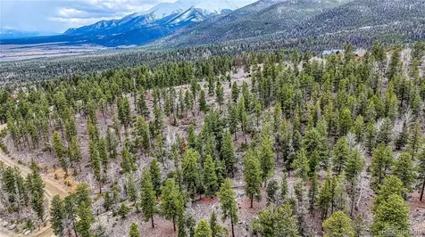 30176 Mountaintop Drive Buena Vista CO 81211