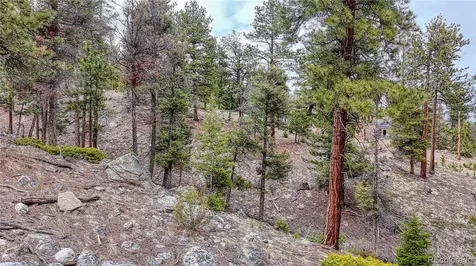 30176 Mountaintop Drive Buena Vista CO 81211