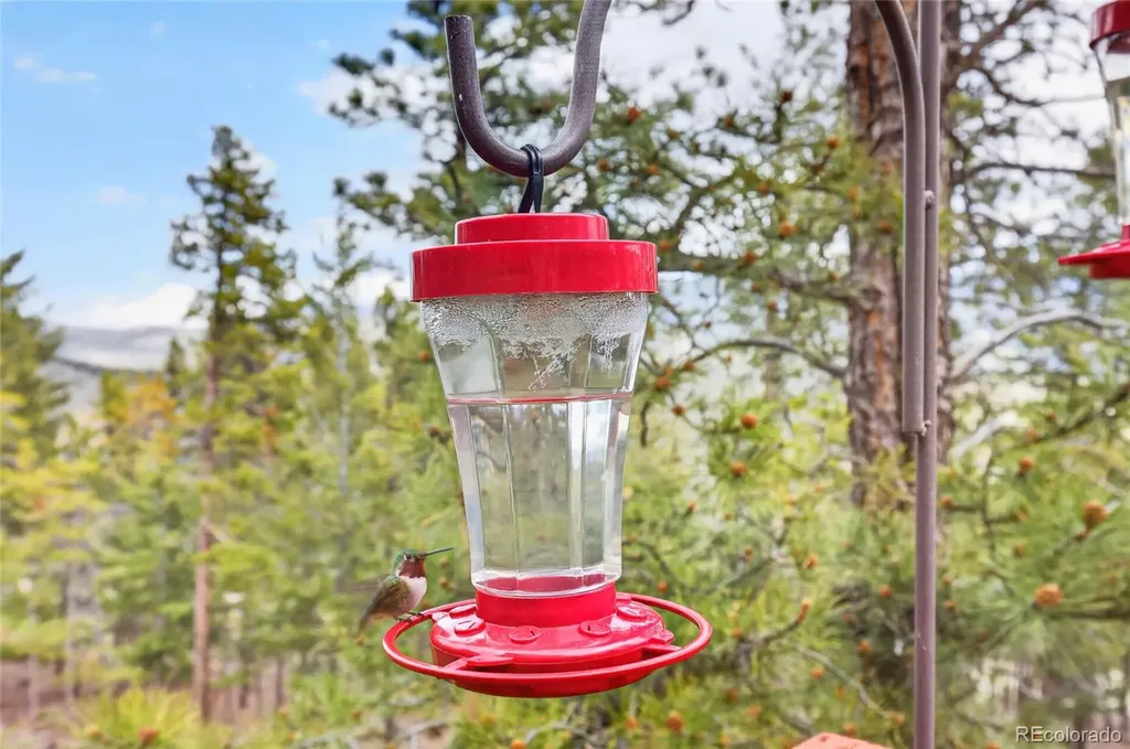 1856 Santa Fe Mountain Road Evergreen CO 80439
