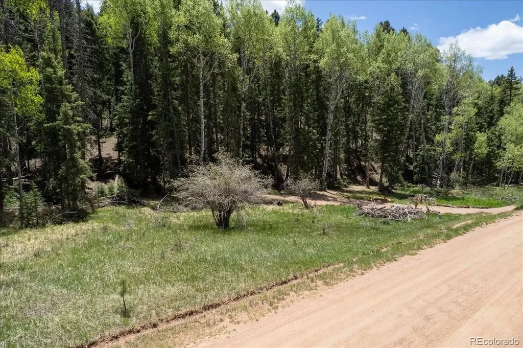 546 Spring Valley Lane Florissant CO 80816