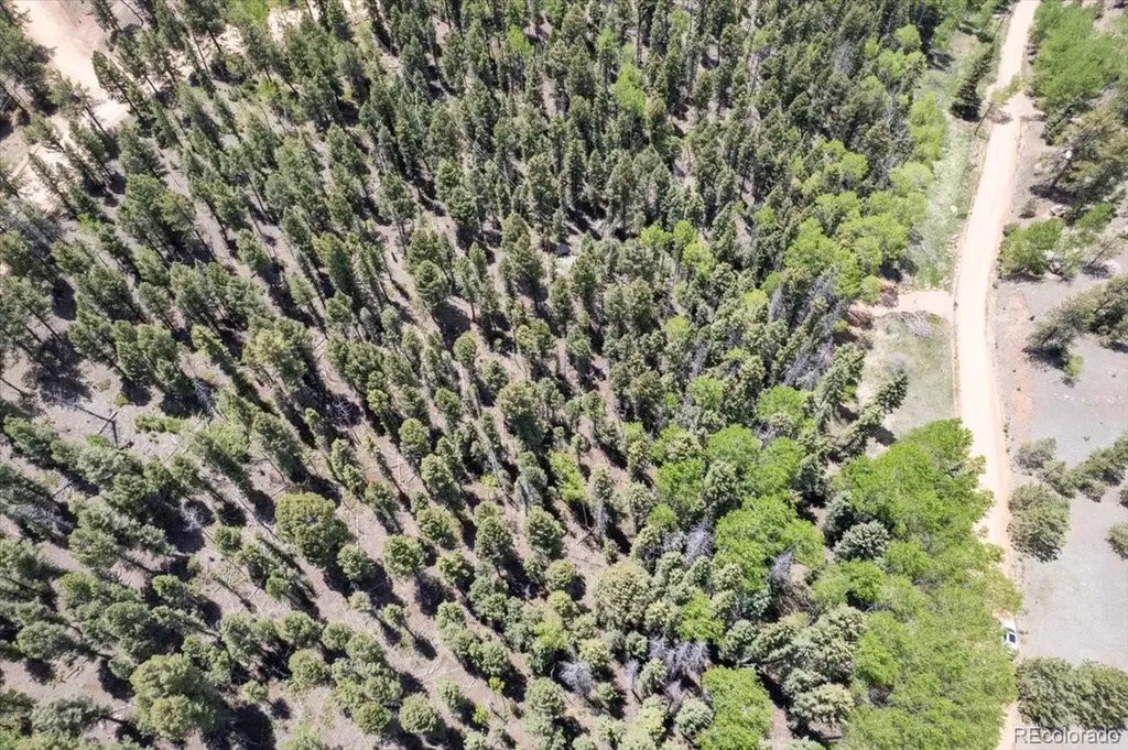 546 Spring Valley Lane Florissant CO 80816