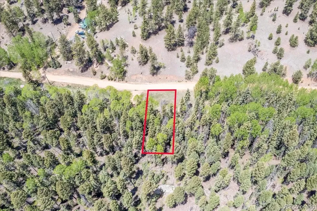 546 Spring Valley Lane Florissant CO 80816