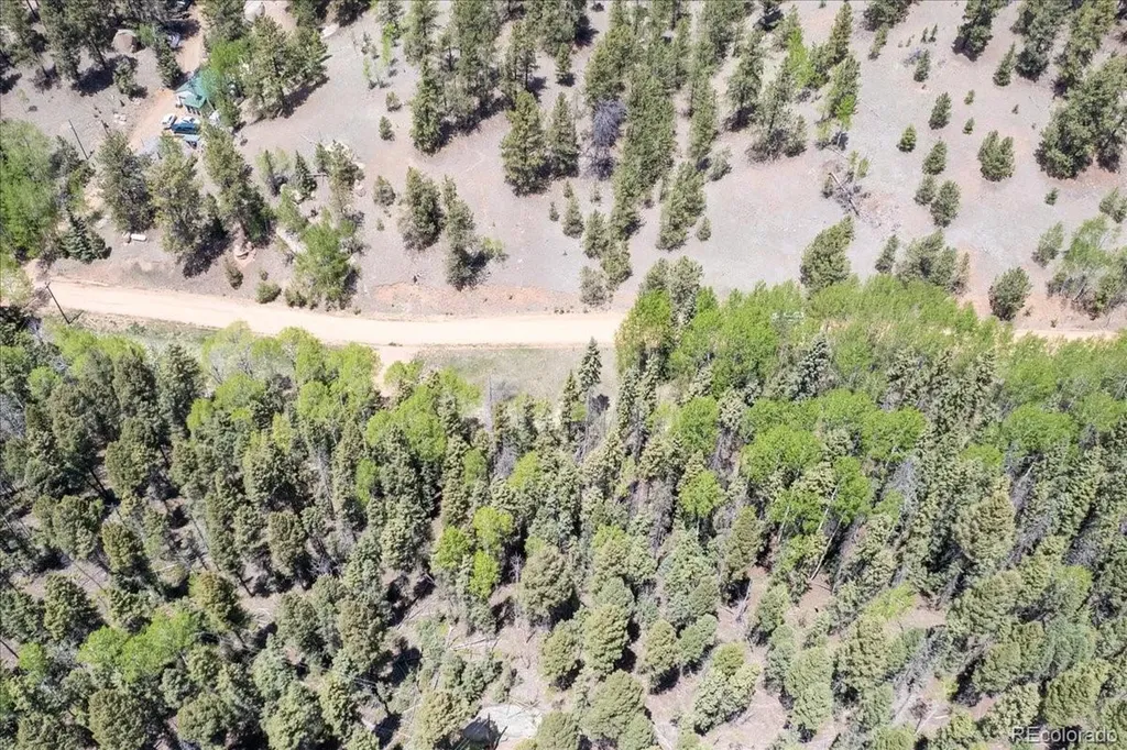 546 Spring Valley Lane Florissant CO 80816