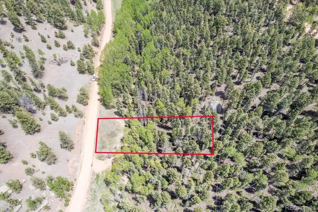 546 Spring Valley Lane Florissant CO 80816