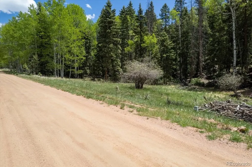 546 Spring Valley Lane Florissant CO 80816
