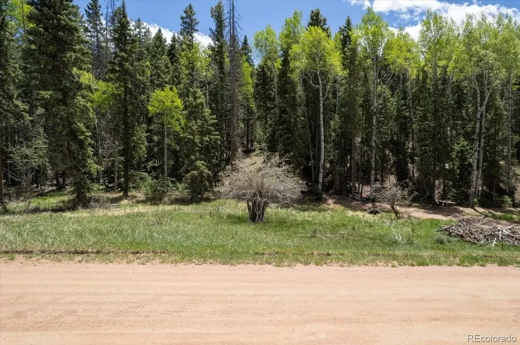 546 Spring Valley Lane Florissant CO 80816