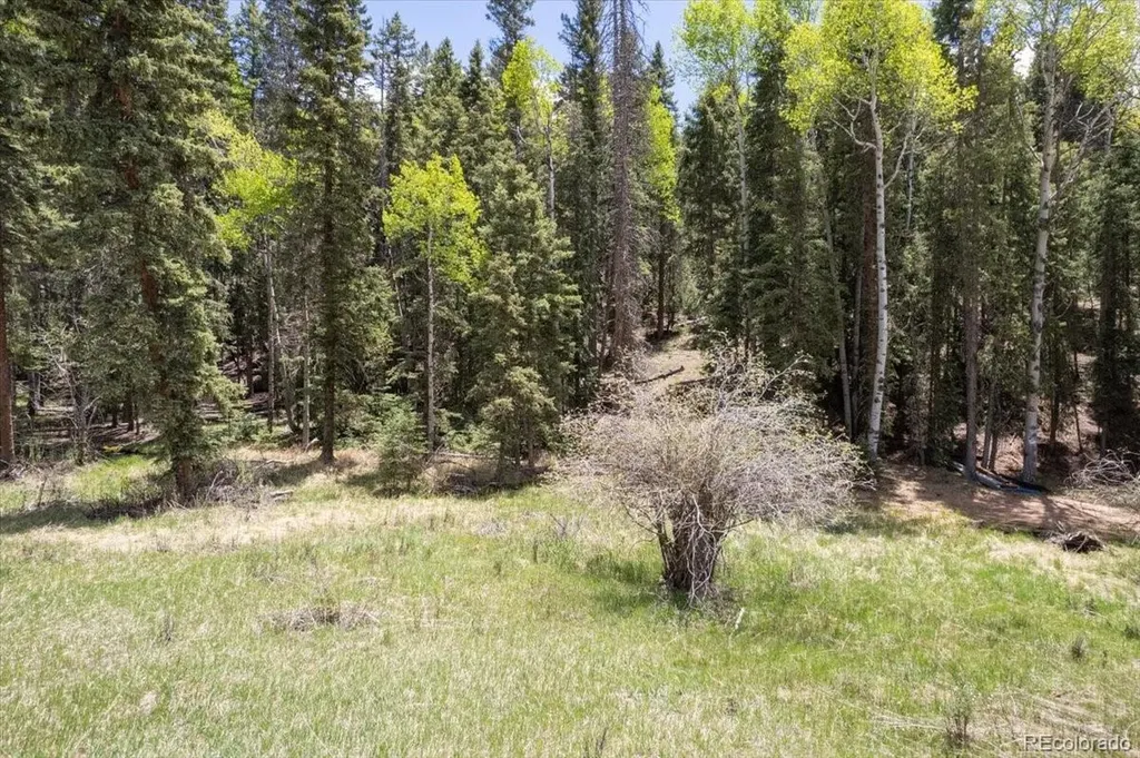 546 Spring Valley Lane Florissant CO 80816