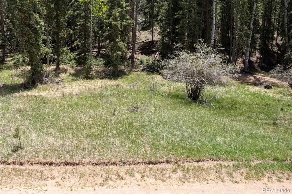 546 Spring Valley Lane Florissant CO 80816