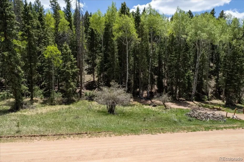 546 Spring Valley Lane Florissant CO 80816