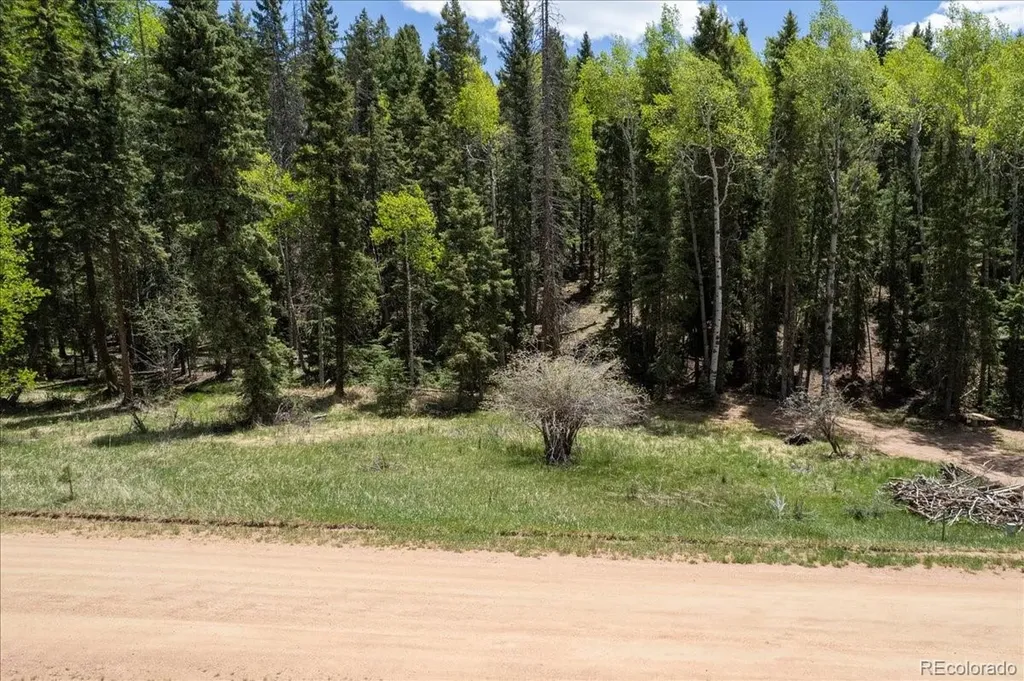 546 Spring Valley Lane Florissant CO 80816