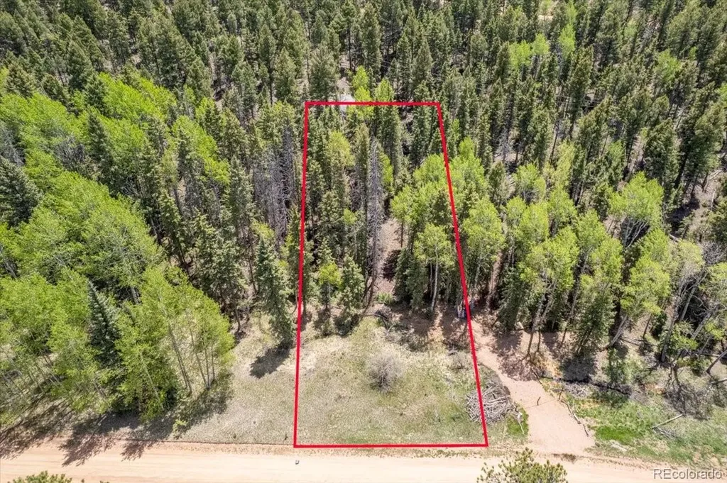 546 Spring Valley Lane Florissant CO 80816