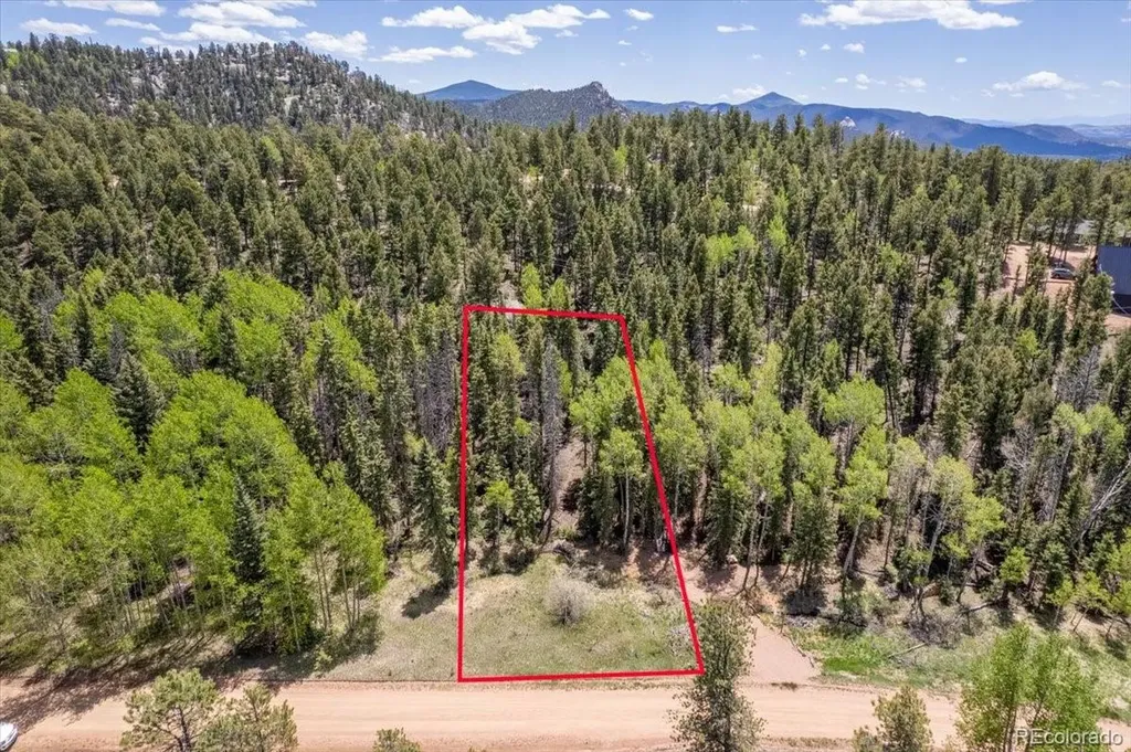 546 Spring Valley Lane Florissant CO 80816