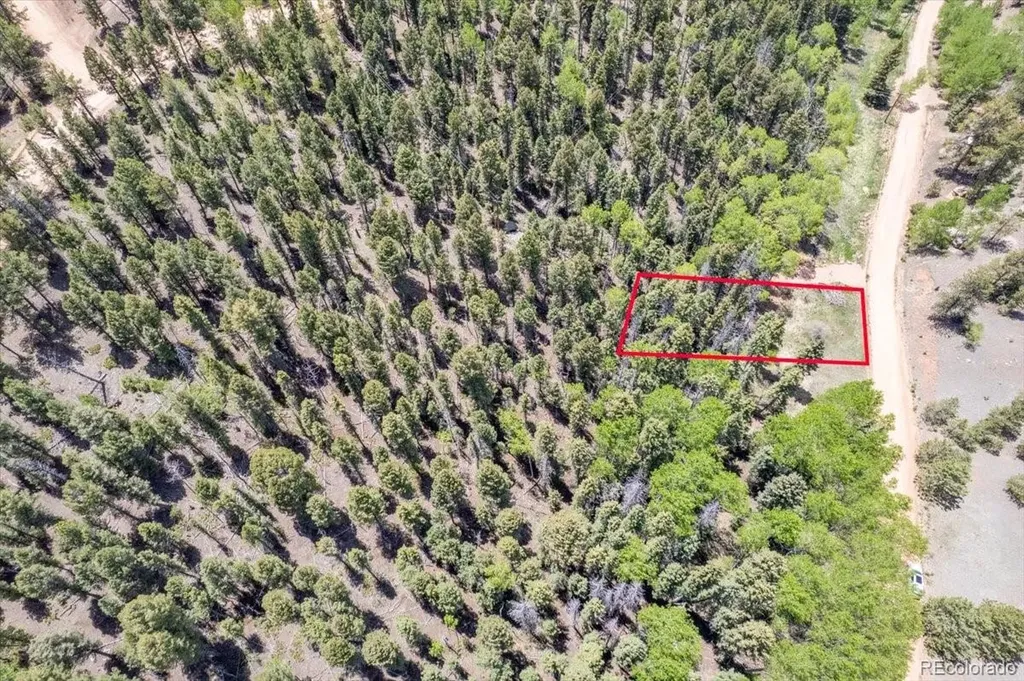 546 Spring Valley Lane Florissant CO 80816