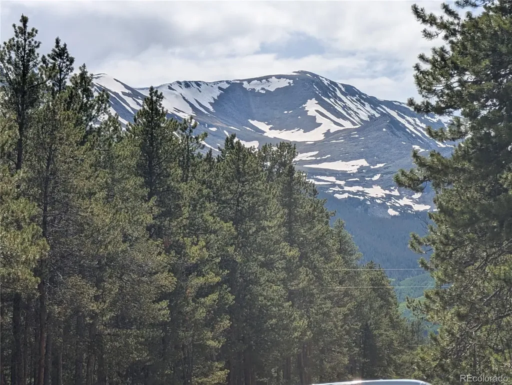 495 Birch Drive Twin Lakes CO 81251