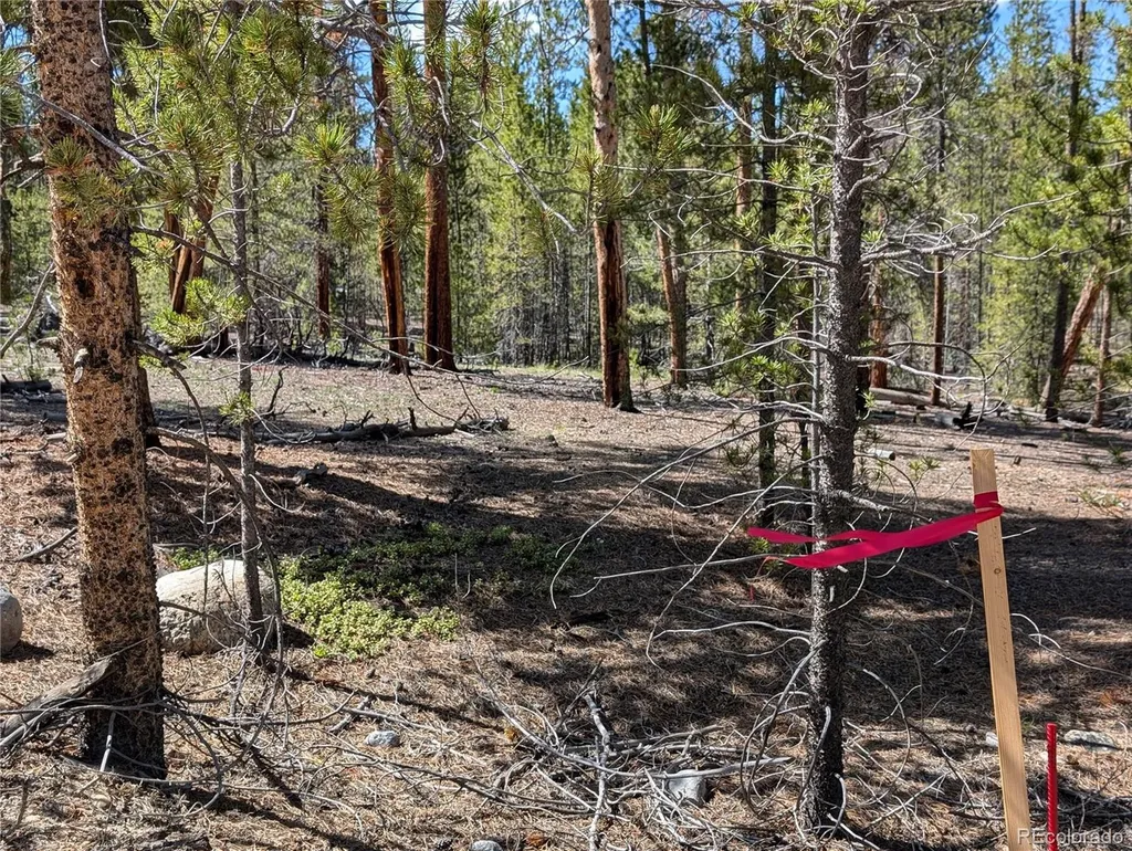495 Birch Drive Twin Lakes CO 81251