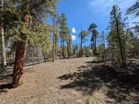 495 Birch Drive Twin Lakes CO 81251
