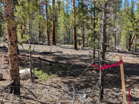 495 Birch Drive Twin Lakes CO 81251