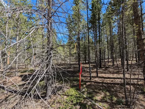 495 Birch Drive Twin Lakes CO 81251