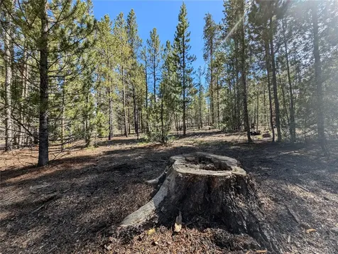 495 Birch Drive Twin Lakes CO 81251