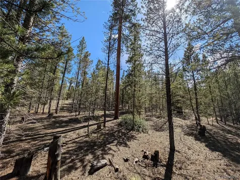495 Birch Drive Twin Lakes CO 81251
