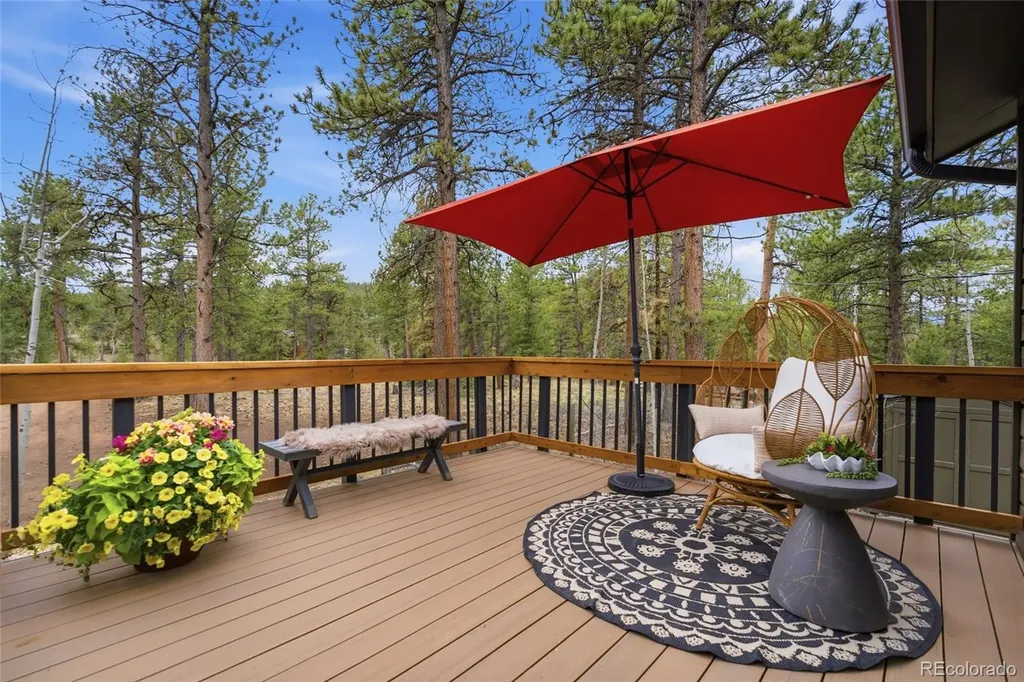 33691 Nova Road Pine CO 80470