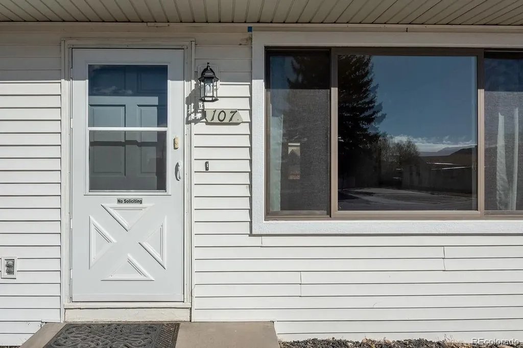 107 Dartmouth Drive Buena Vista CO 81211