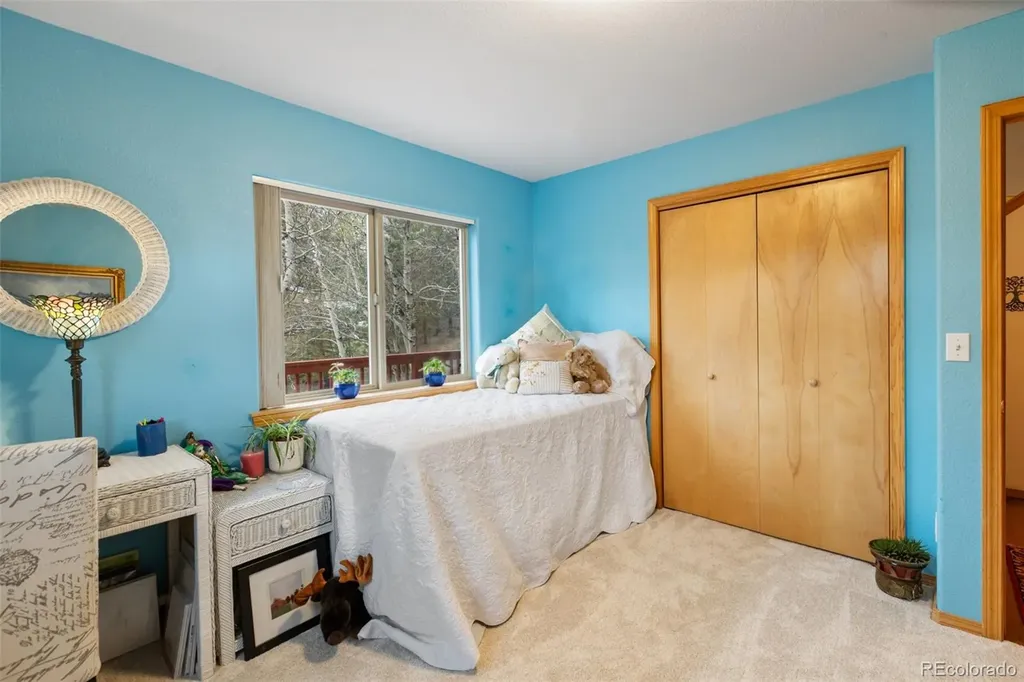 996 Spring Valley Drive Divide CO 80814