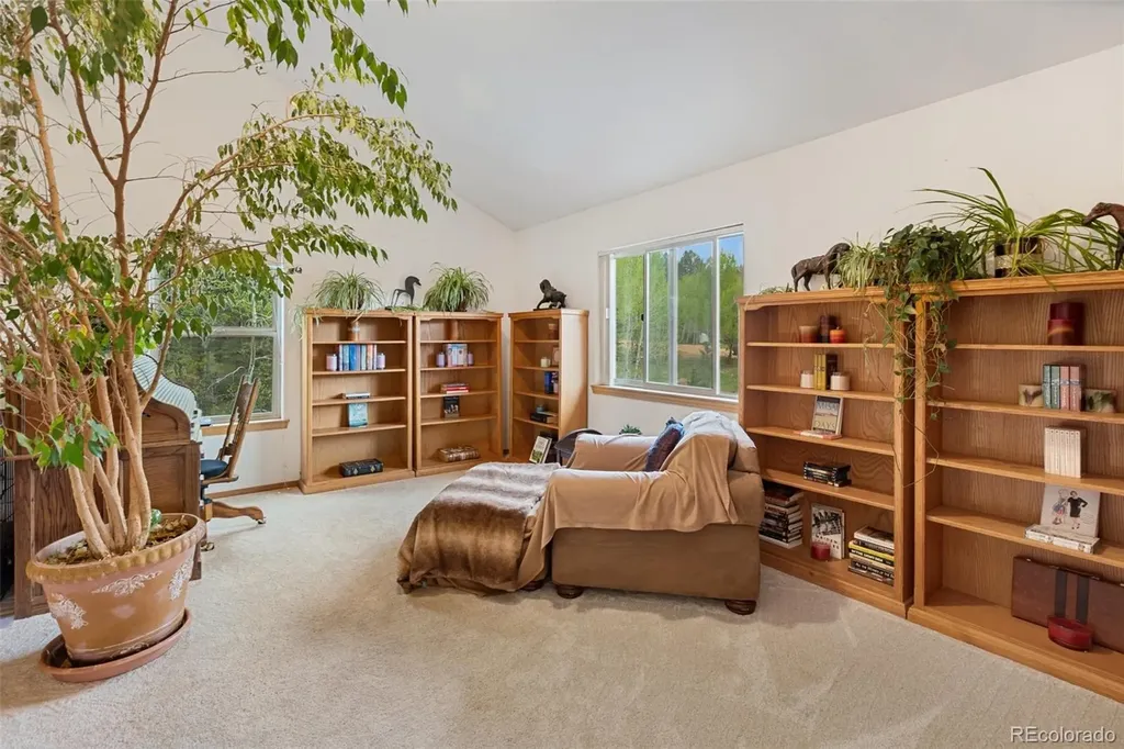 996 Spring Valley Drive Divide CO 80814