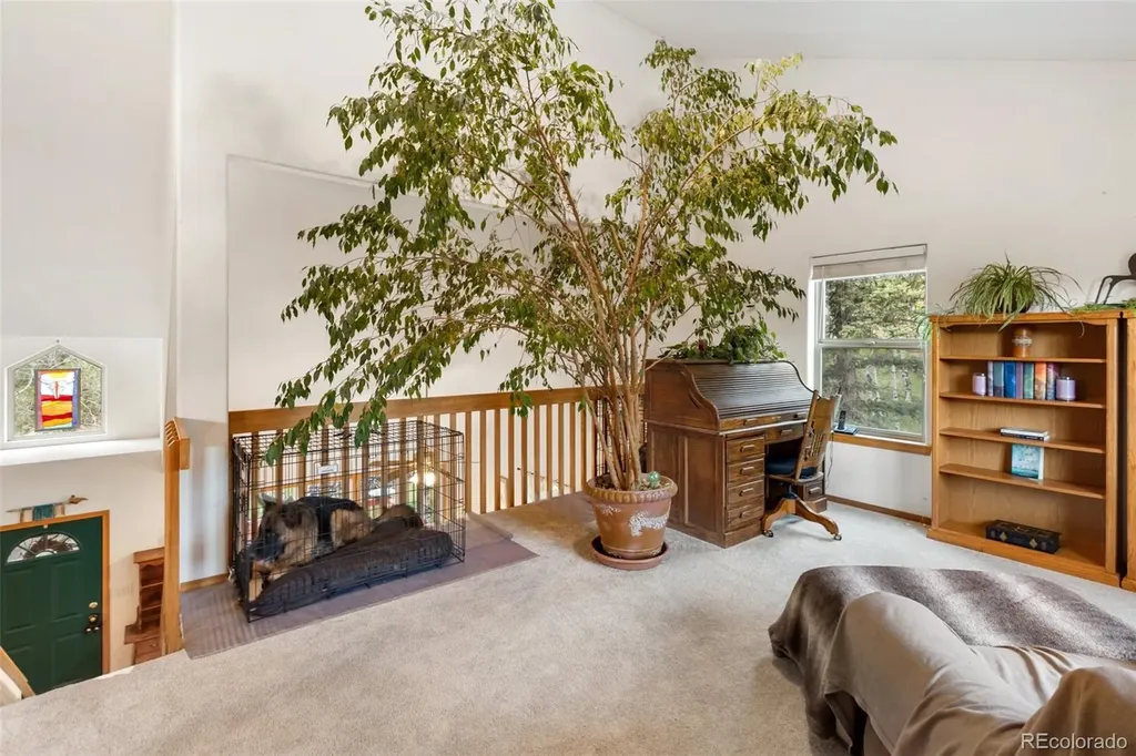 996 Spring Valley Drive Divide CO 80814