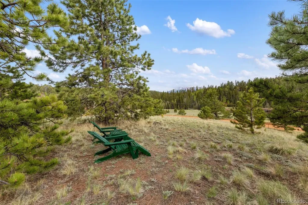 996 Spring Valley Drive Divide CO 80814