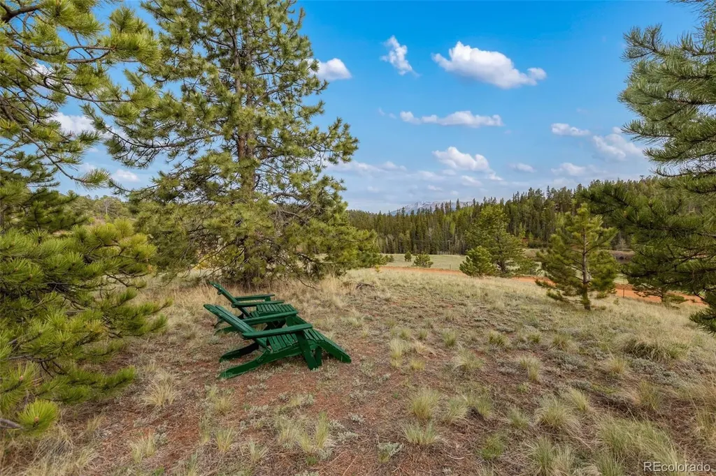996 Spring Valley Drive Divide CO 80814