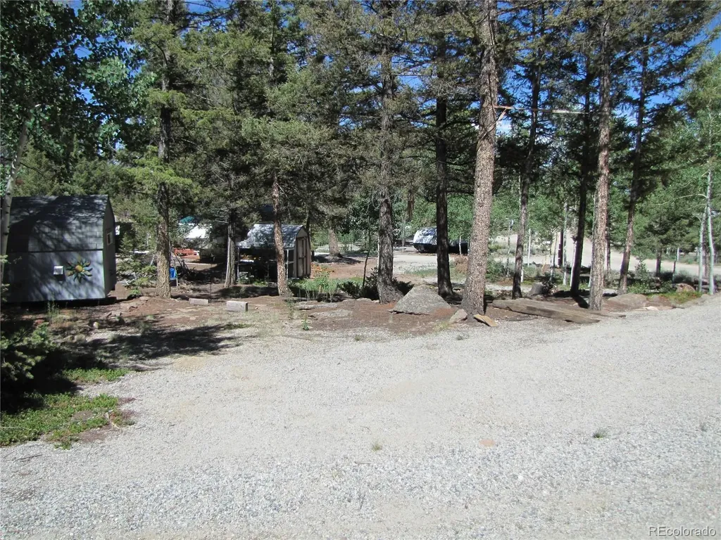 251 Pullman Loop Hartsel CO 80449