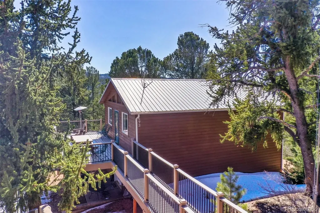 493 Horseshoe Drive Divide CO 80814