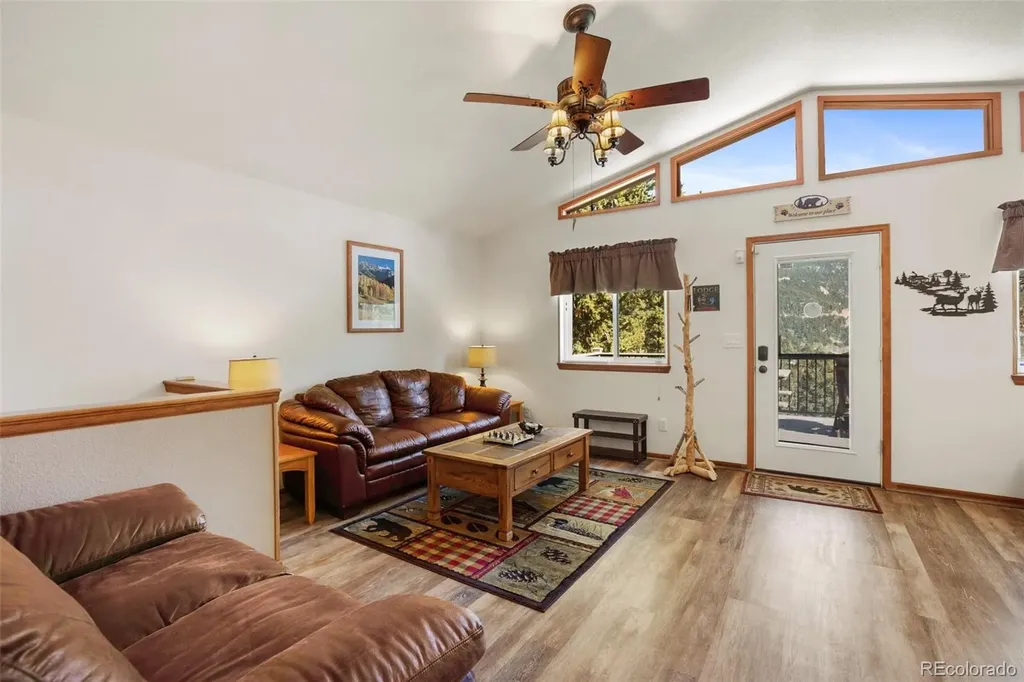493 Horseshoe Drive Divide CO 80814