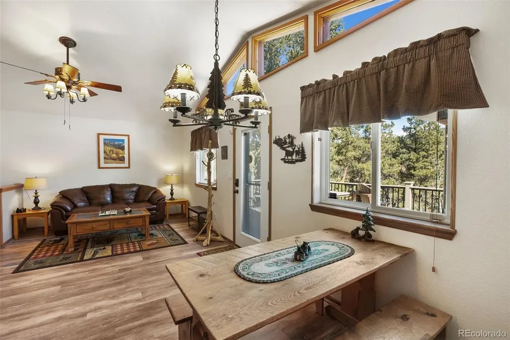 493 Horseshoe Drive Divide CO 80814