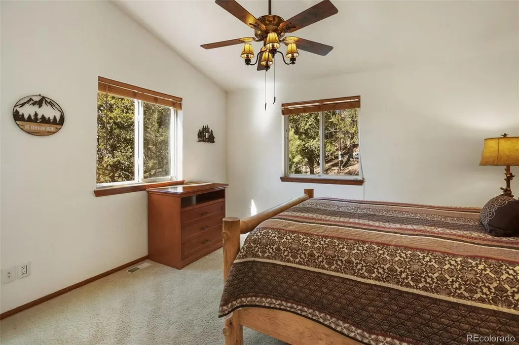 493 Horseshoe Drive Divide CO 80814