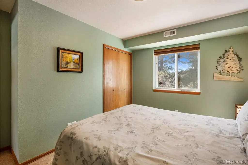 493 Horseshoe Drive Divide CO 80814