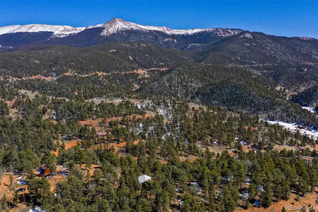 493 Horseshoe Drive Divide CO 80814